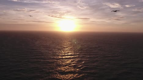 Luftaufnahme-Eines-Sonnenuntergangs-über-Dem-Meer,-Möwensilhouette-In-Frankreich.